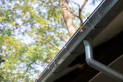 Gutter System Before Service